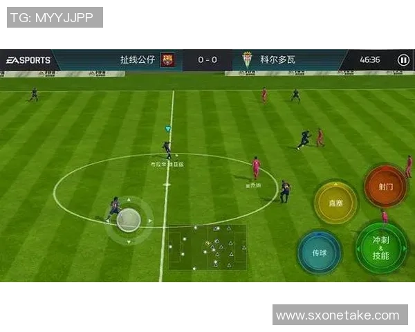 上海足球队崛起之路揭秘世界杯背后的奋斗与荣耀 上海足球队崛起之路揭秘世界杯背后的奋斗与荣耀