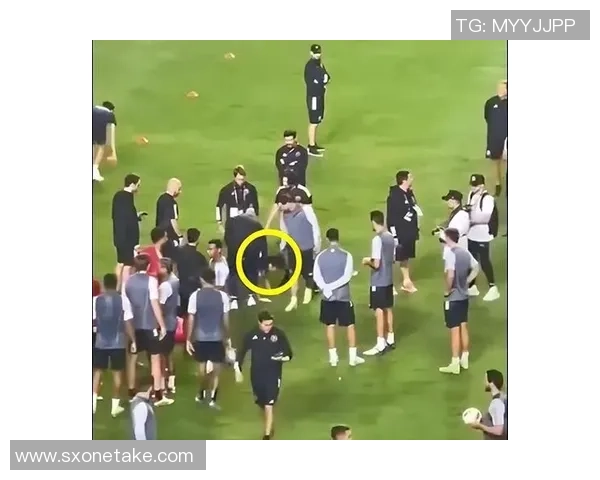 浙江下跪足球明星事件背后的真相与影响分析