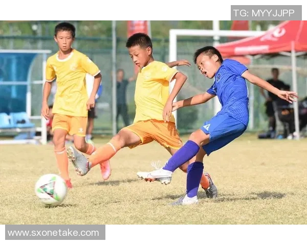 中国足球振兴之路:从青训到职业联赛的全面发展与挑战 中国足球振兴之路:从青训到职业联赛的全面发展与挑战