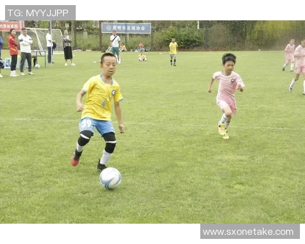 在绿茵场上正踢着足球的少年们展现青春活力与团队精神的瞬间