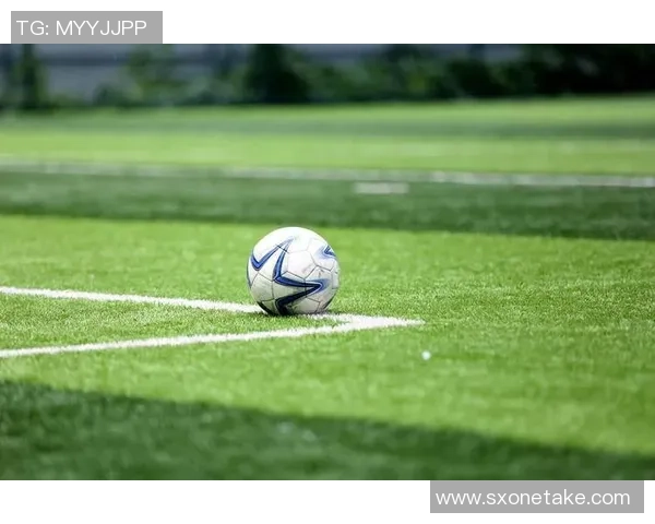 足球的魅力与精神探讨及其在全球文化中的重要性