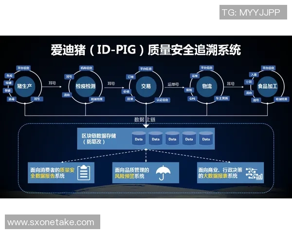 足球热讯:新赛季转会动态揭晓明星球员去向引发热议 足球热讯:新赛季转会动态揭晓明星球员去向引发热议